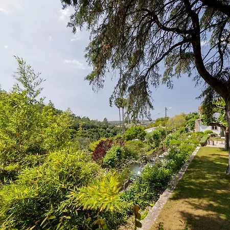 Casa Da Paderna Holiday home