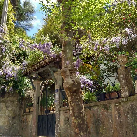 Casa Da Paderna Prázdninový dům *