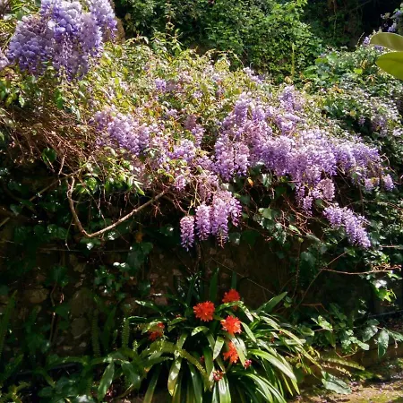 度假居 Casa Da Paderna *