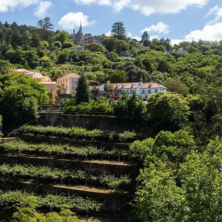 Casa Da Paderna 度假居 *