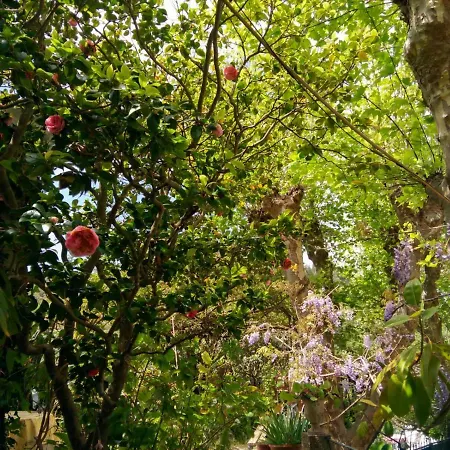 度假居 Casa Da Paderna 辛特拉