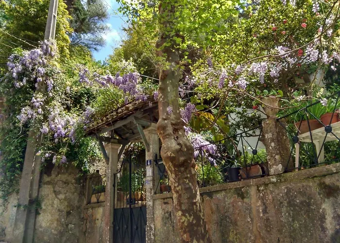 Casa Da Paderna 펜션 *