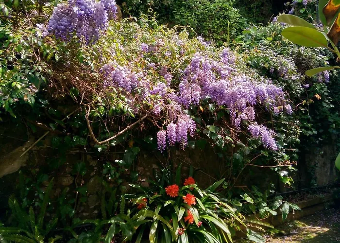 펜션 Casa Da Paderna *